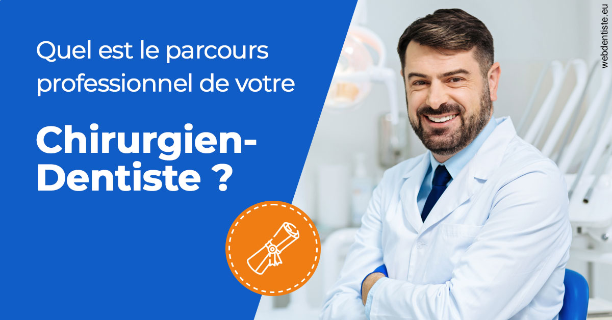 https://dr-david-temstet.chirurgiens-dentistes.fr/Parcours Chirurgien Dentiste 1