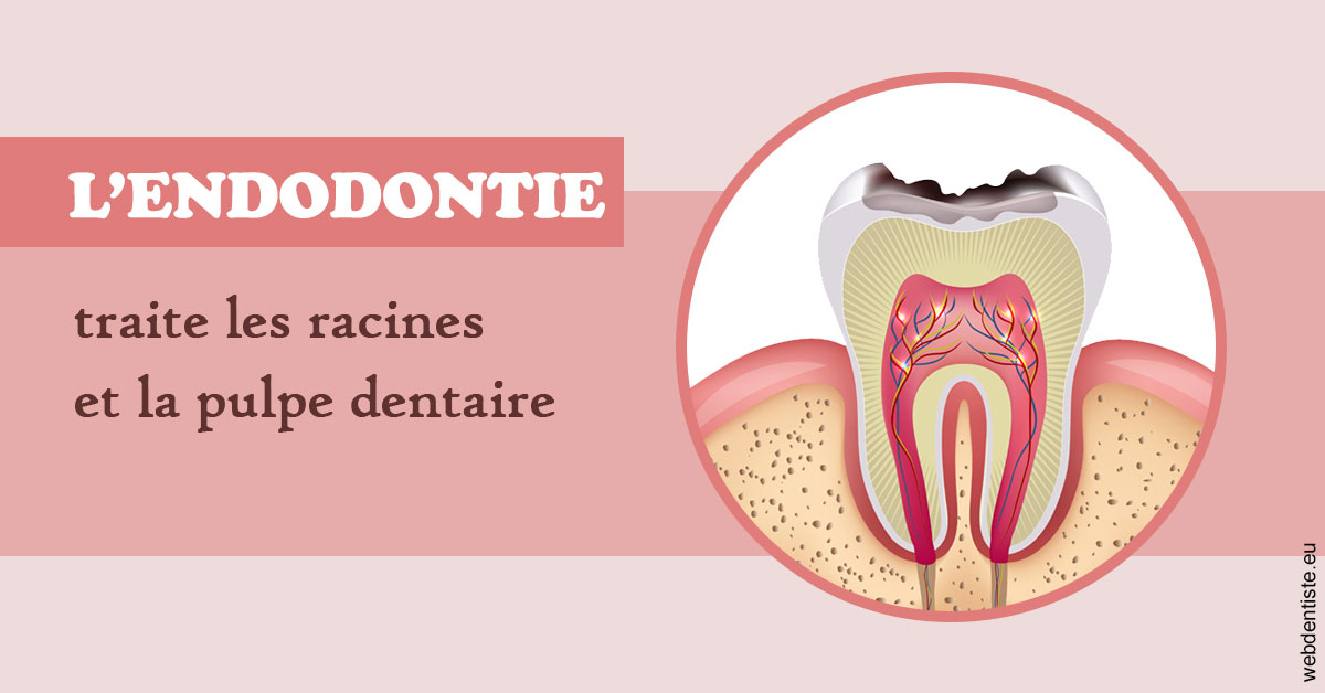 https://dr-david-temstet.chirurgiens-dentistes.fr/L'endodontie 2