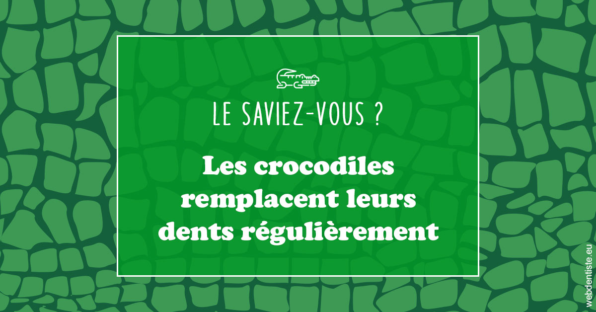 https://dr-david-temstet.chirurgiens-dentistes.fr/Crocodiles 1